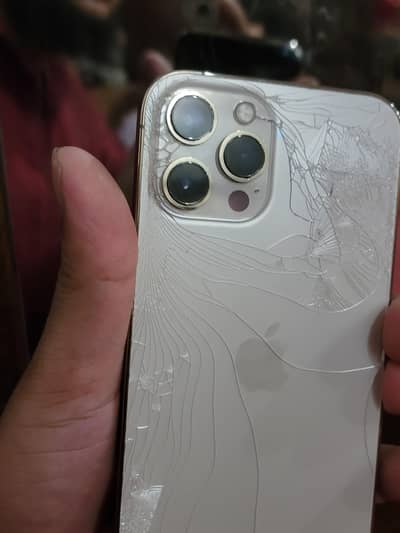 Apple iPhone 12 Pro Max