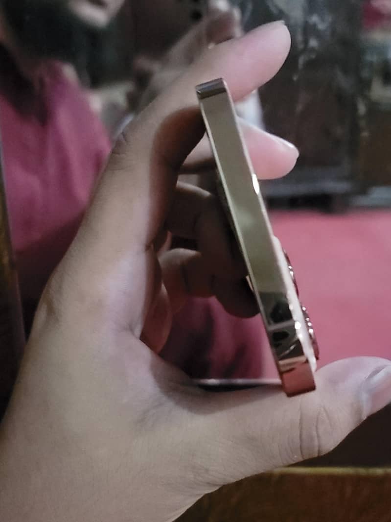 Apple iPhone 12 Pro Max 1