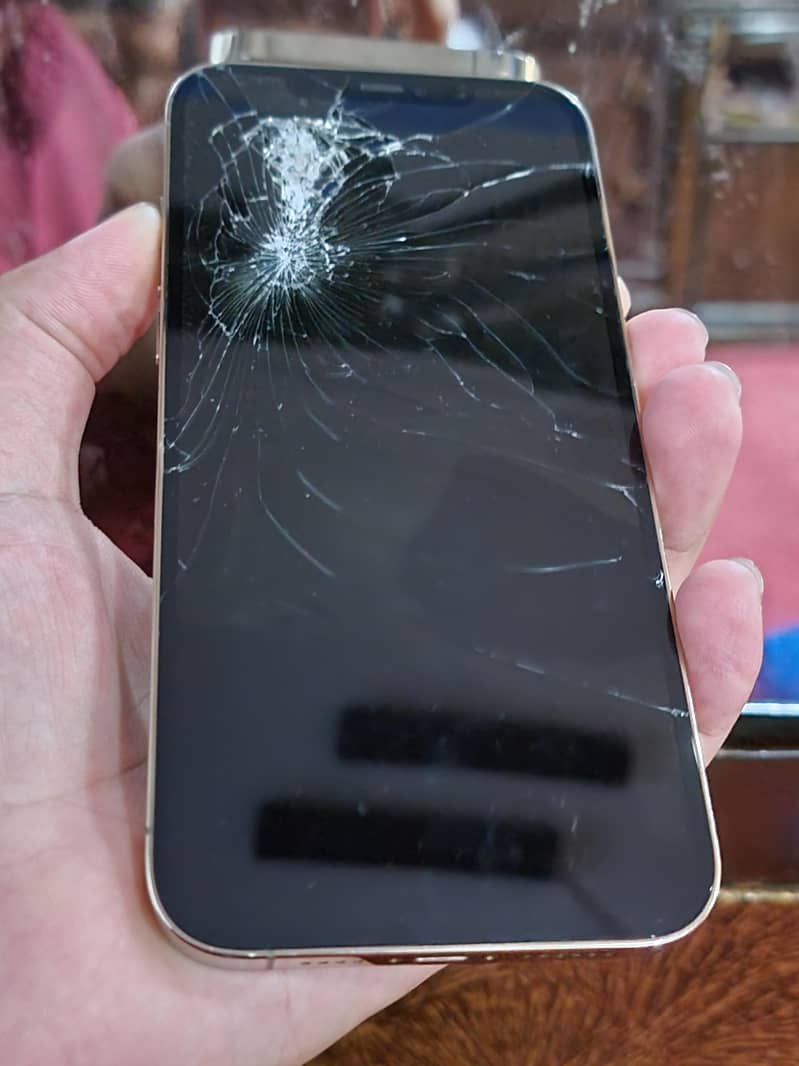 Apple iPhone 12 Pro Max 4
