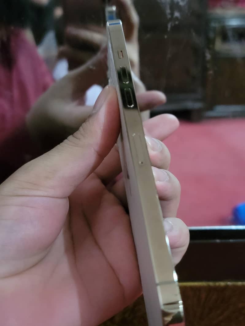 Apple iPhone 12 Pro Max 5