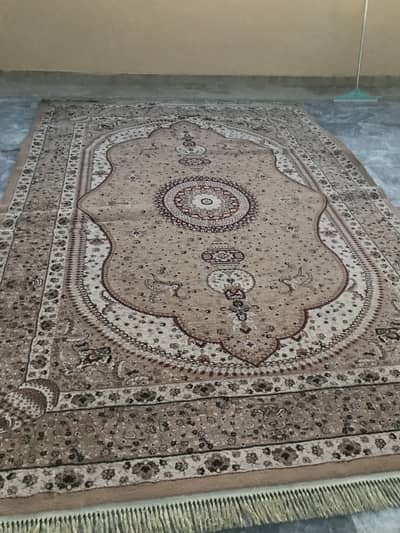 Large Rug/ Carpet 12x8 ft