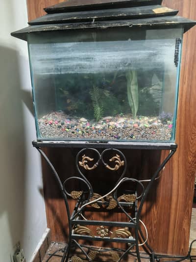 fish aquarium along with steel stand is available