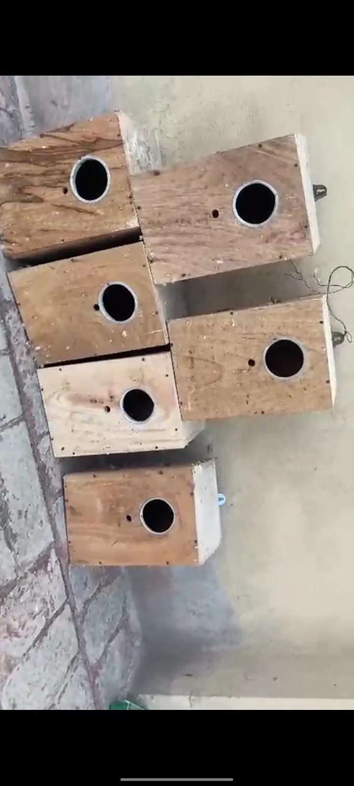 6 breeding box available achi lakri ka bany howay — photo 2