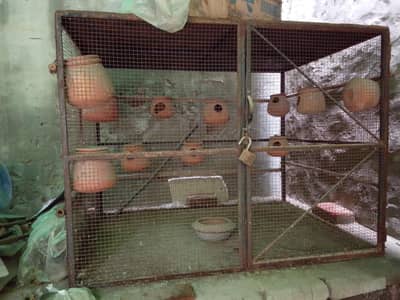 Heavy Iron Bird Cage - لوہے کا مضبوط پنجرہ (4x3x3 Feet)