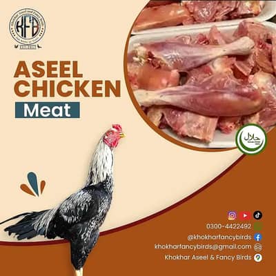 Aseel Meat / Duck Meat /Rabbit Meat / Desi Chicken