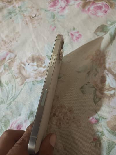 IPhone 13pro max