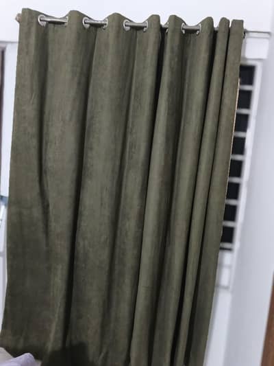 olive green brand new curtains for sale