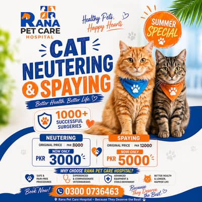 Neutring & Spaying for Stray cats owner Special discount Offer!