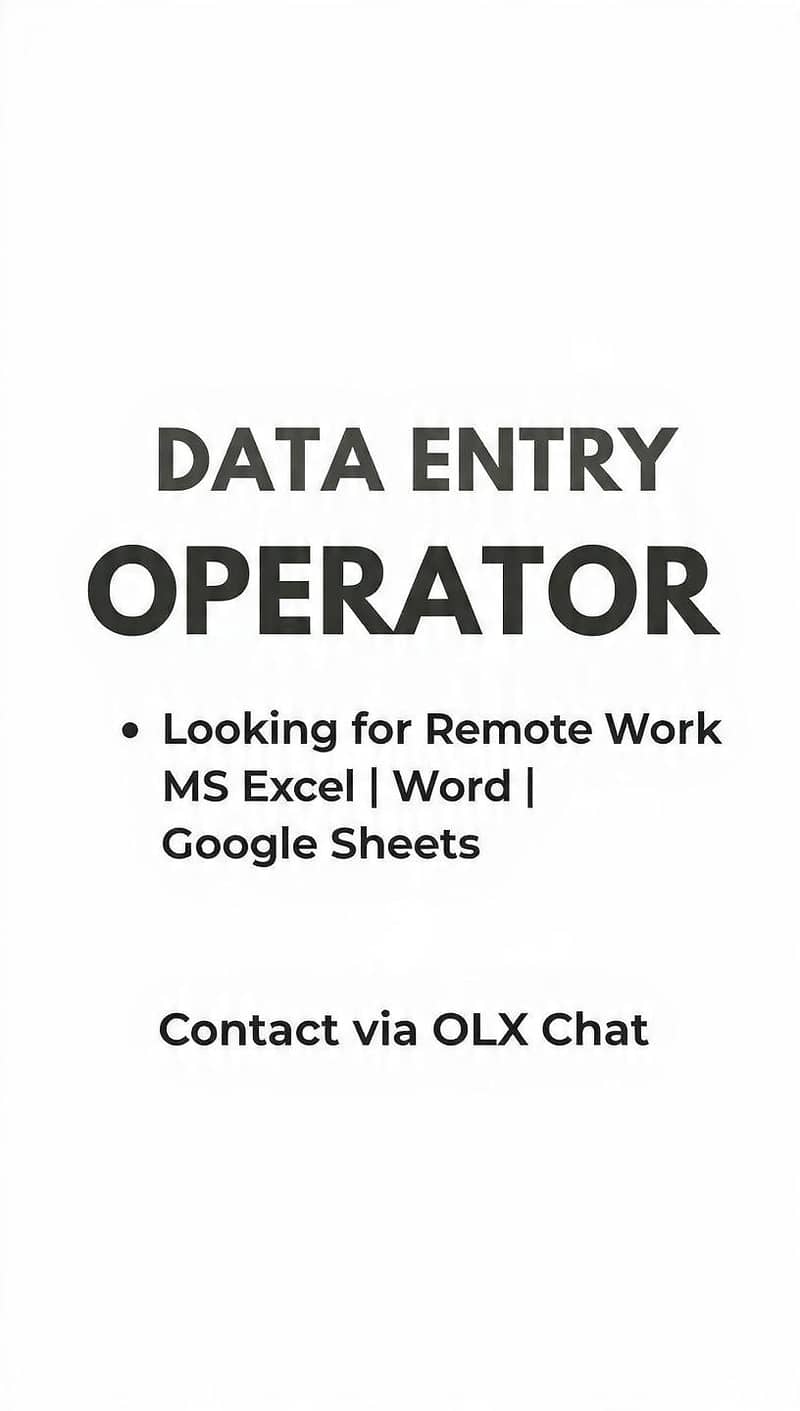 Data Entry Operator - Looking for Remote Work 0