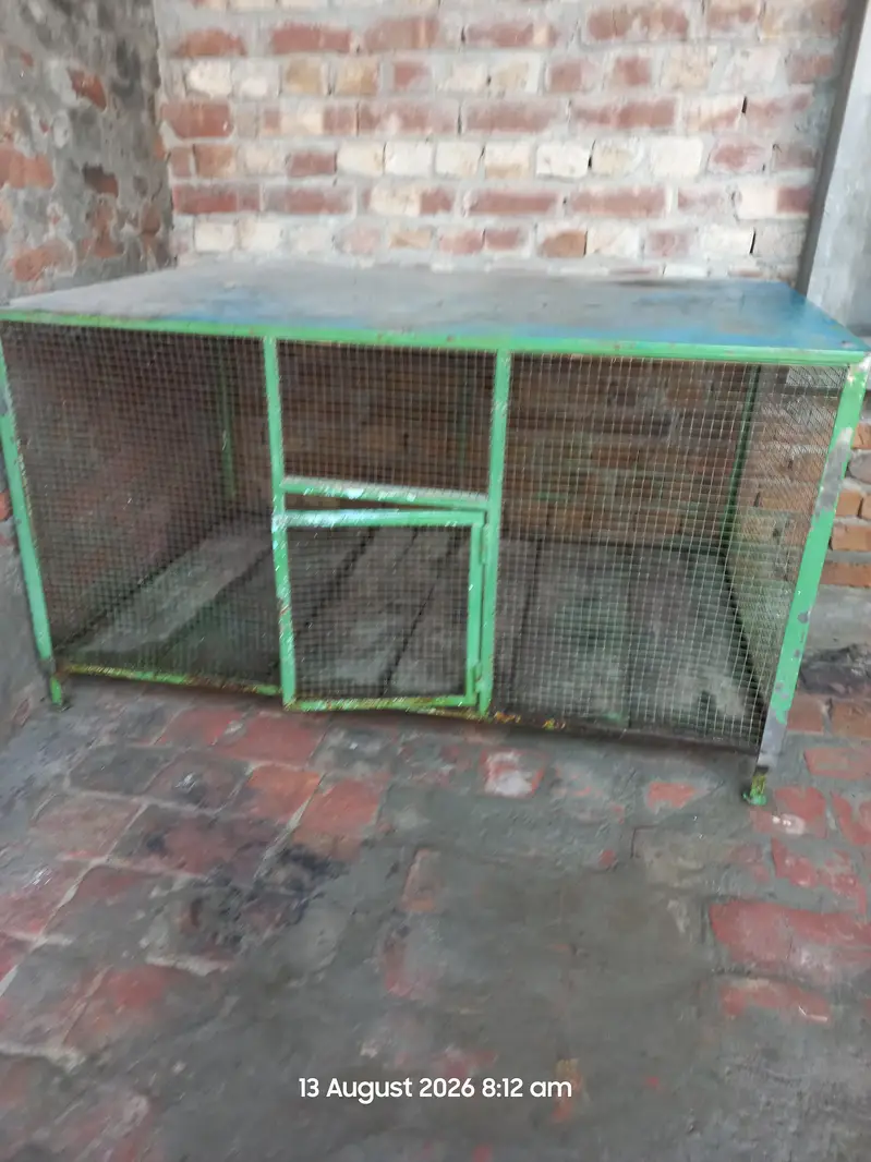 iron cage — photo 2