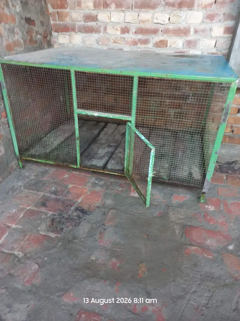 iron cage — photo 3