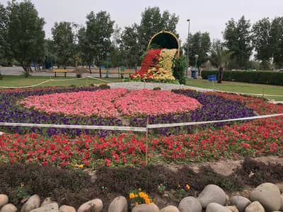Get In Touch Now To Buy A Residential Plot In Bahria Town - Sector C Lahore