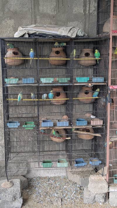 portion cages