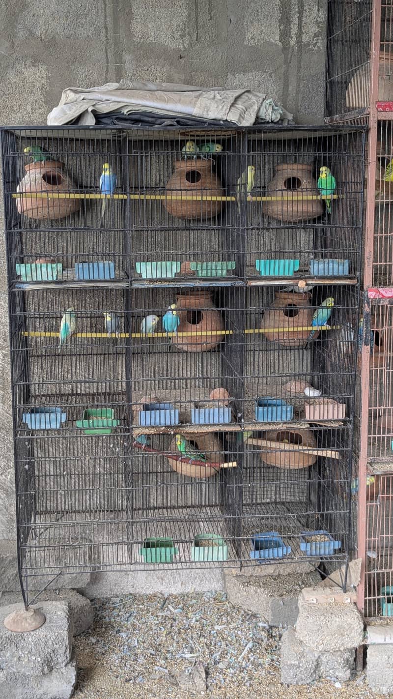 portion cages 0