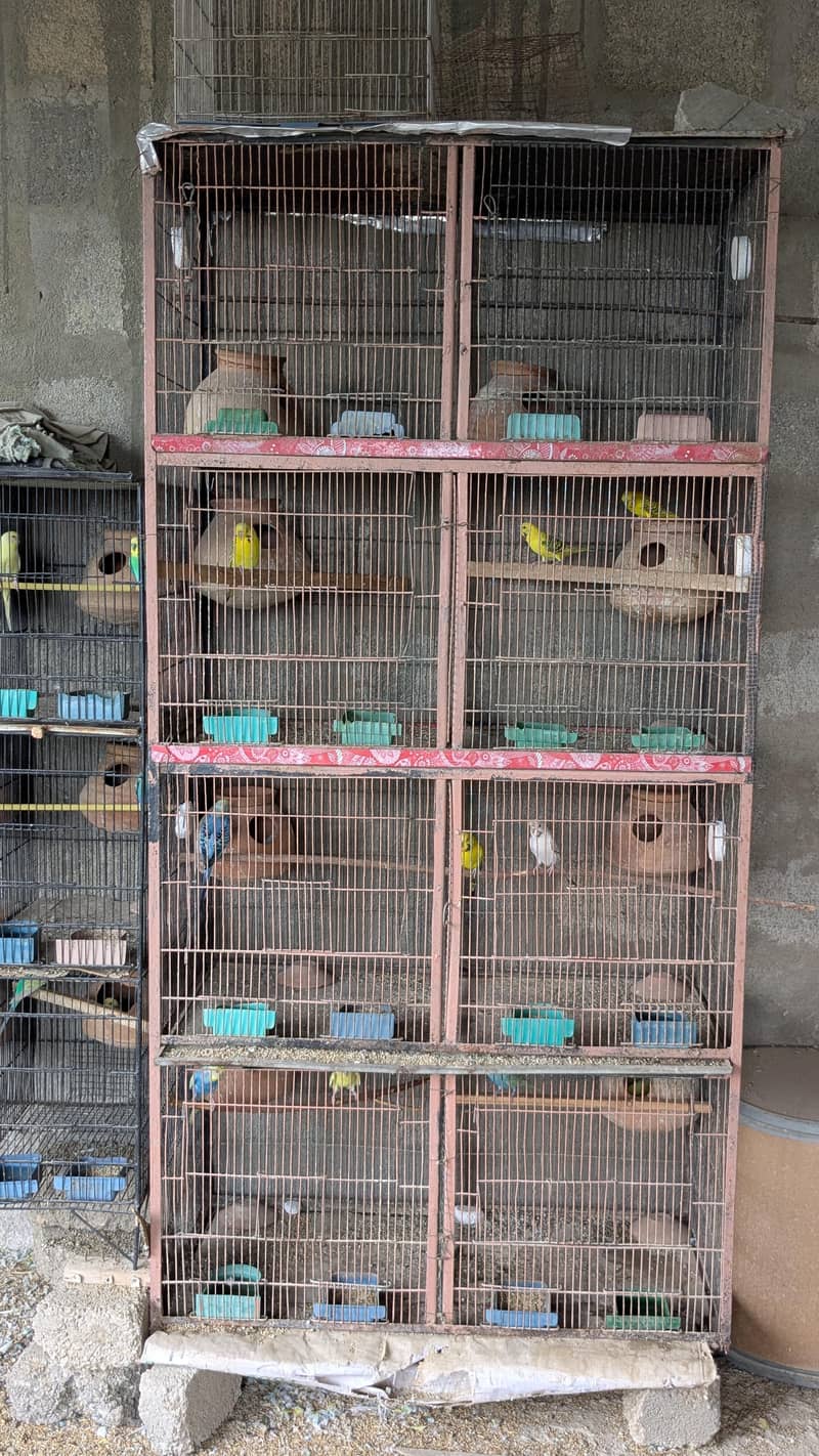 portion cages 1