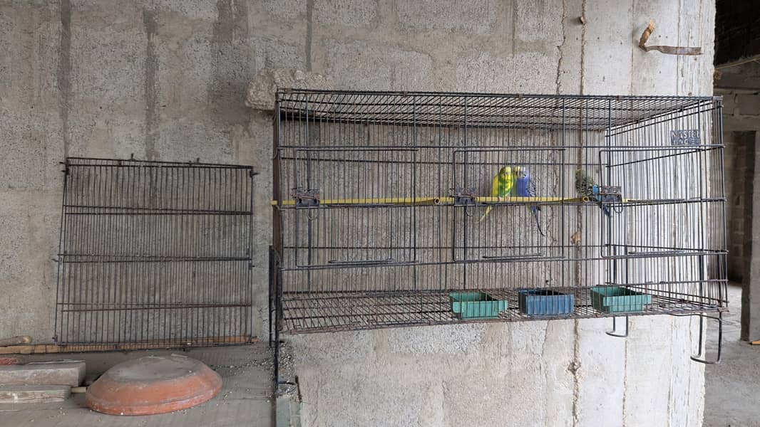portion cages 2