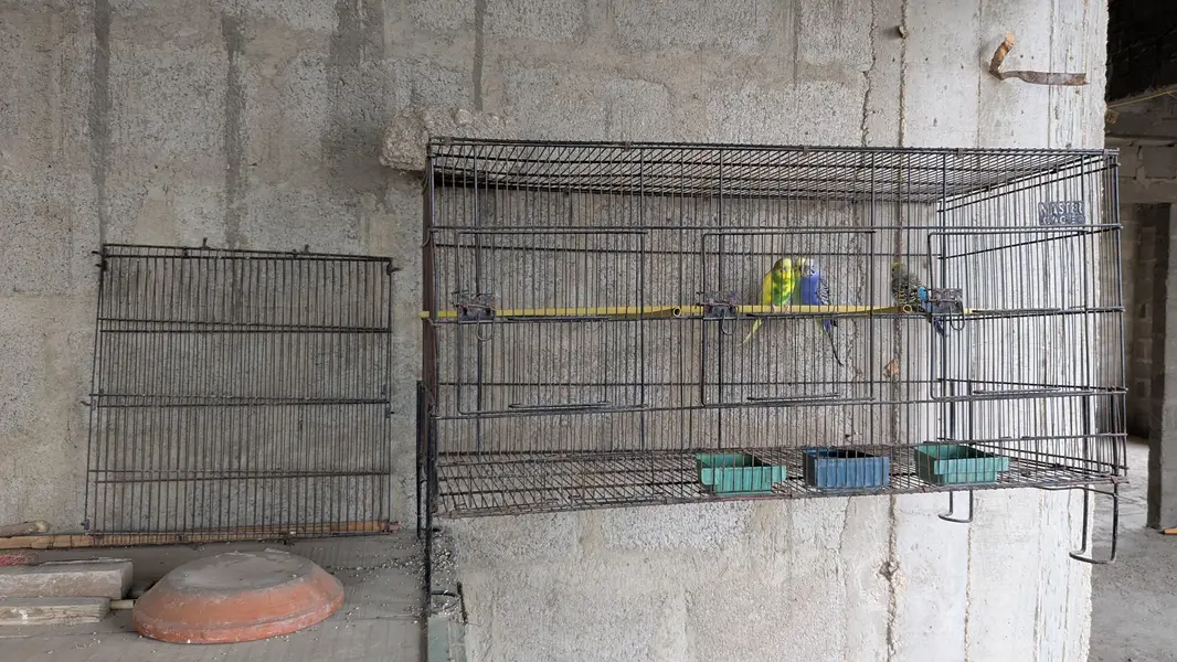 portion cages — photo 3