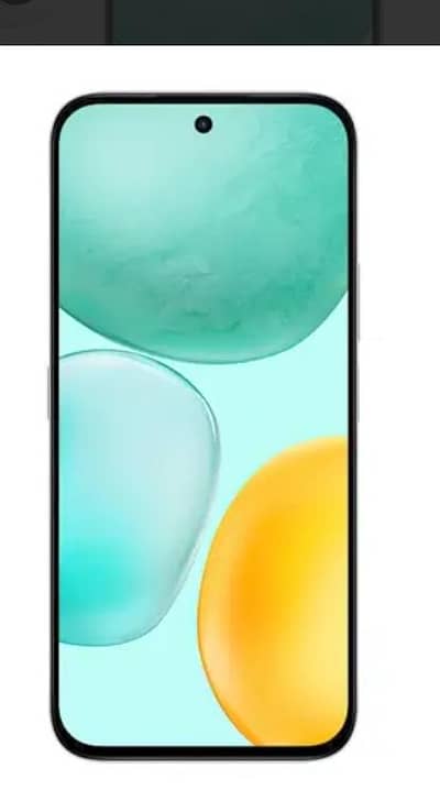 Honor X6