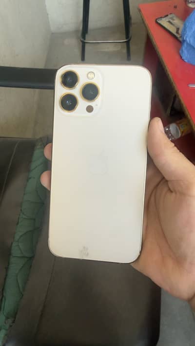 Apple iPhone 13 Pro Max