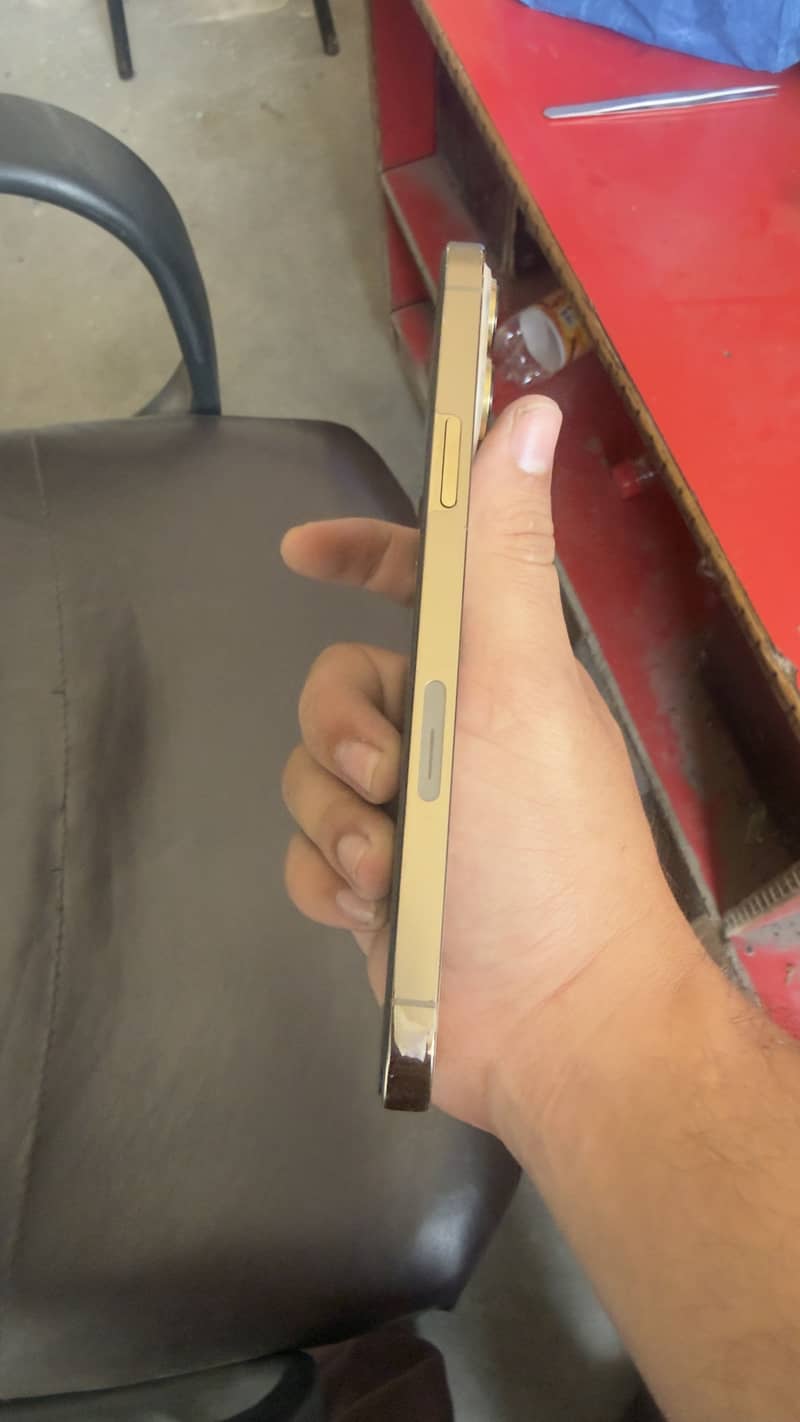 Apple iPhone 13 Pro Max 1