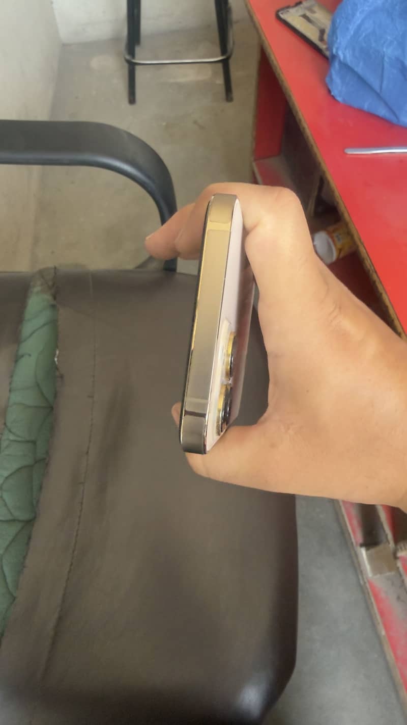 Apple iPhone 13 Pro Max 2