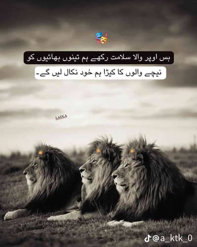 Qasim 