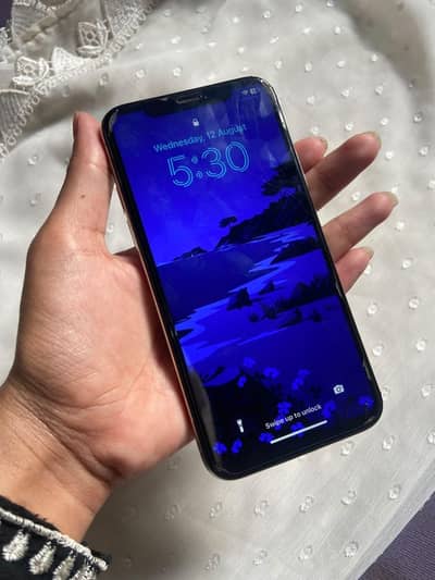 Apple iPhone X