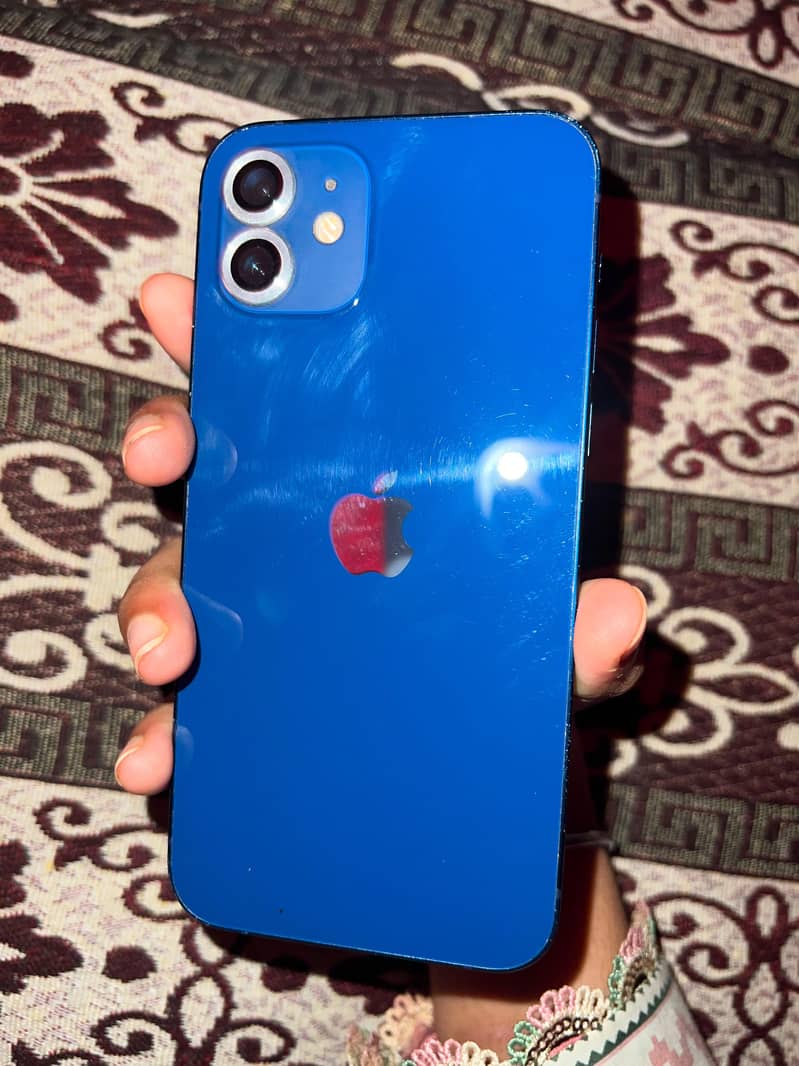 Apple iPhone 12 1