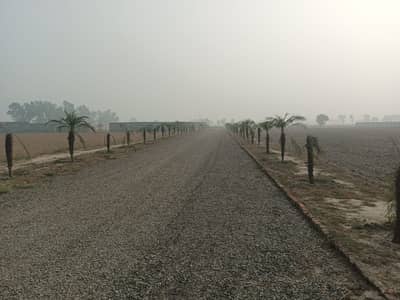 16 KANAL FARM HOUSE PLOT IN HARBOUR