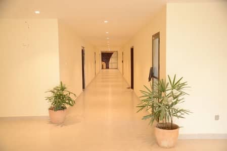 650 Sq Fts Dascon Towers 1-Bed Apartment Near To Grand Mosque For Sale In BahriaTownKarachi