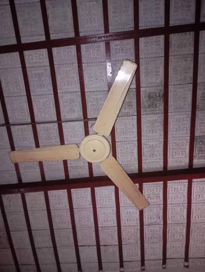 2 Seling Fan For Sale