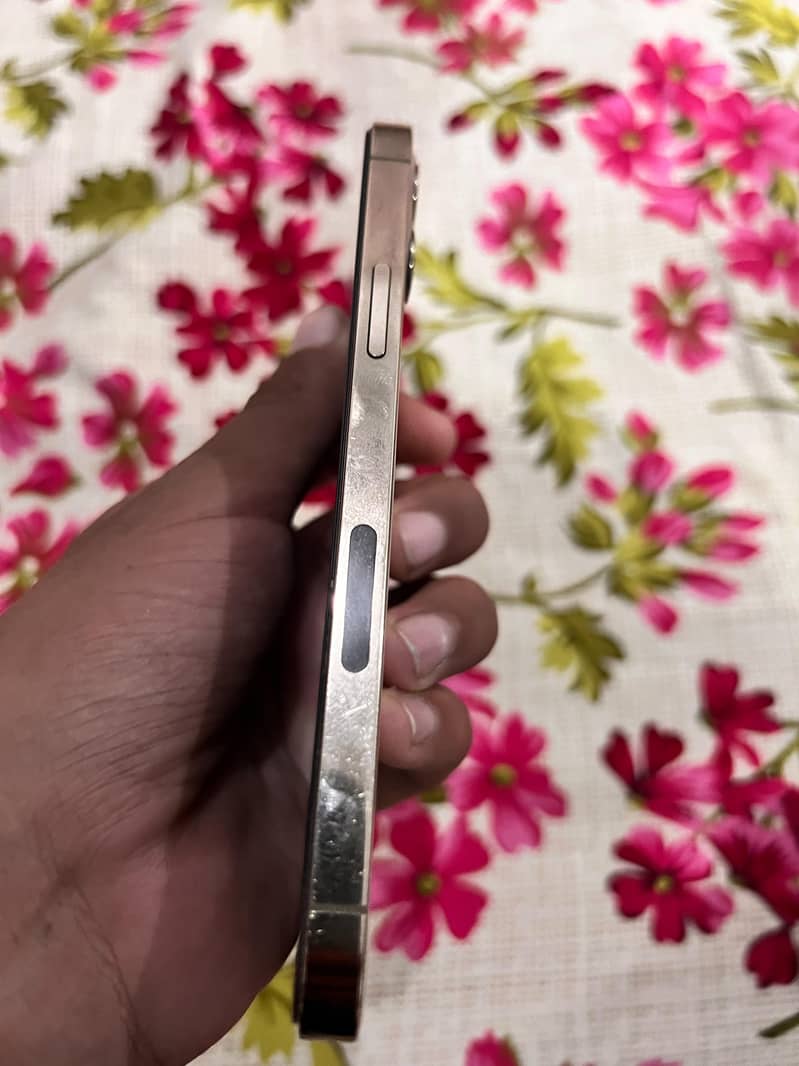 Apple iPhone 12 Pro 8
