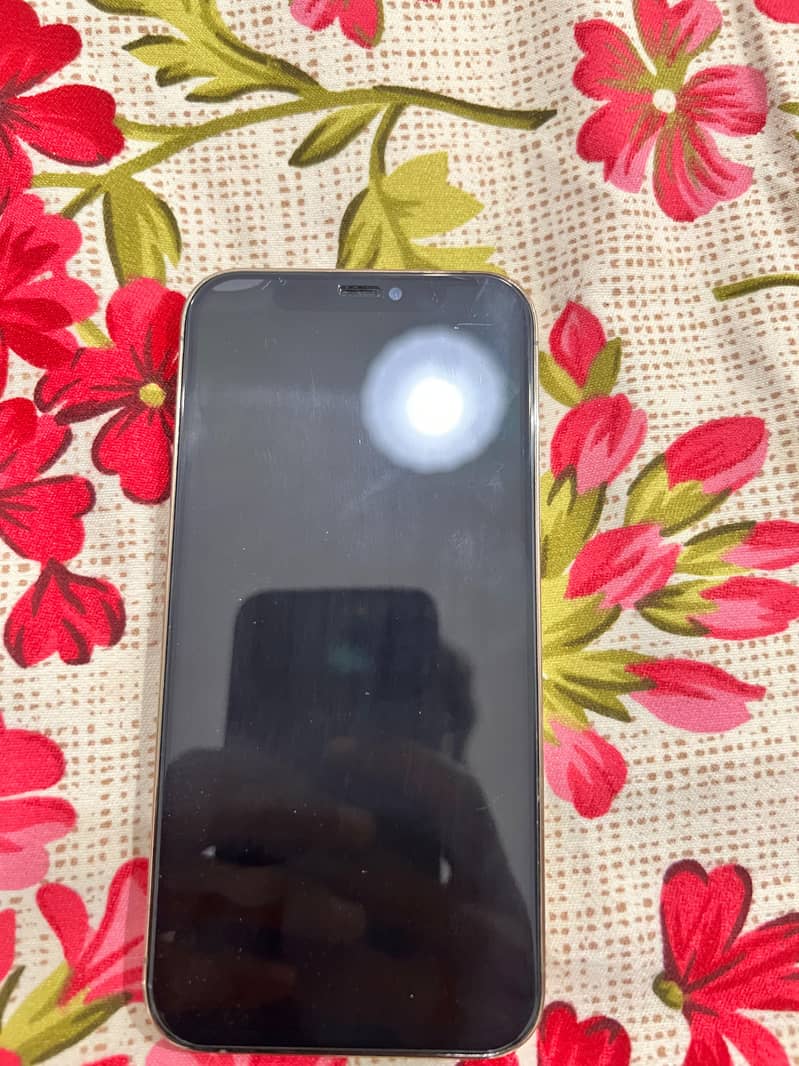 Apple iPhone 12 Pro 12
