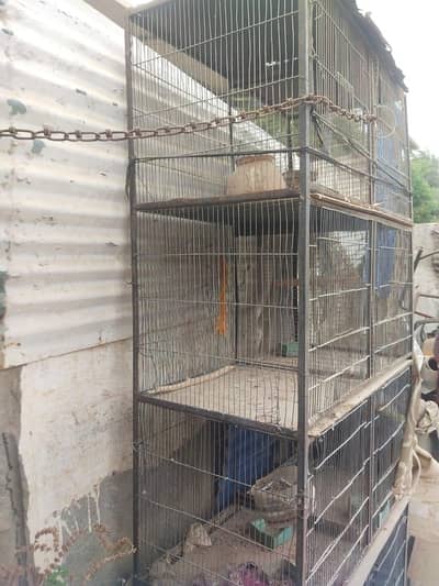 8 portions cage
