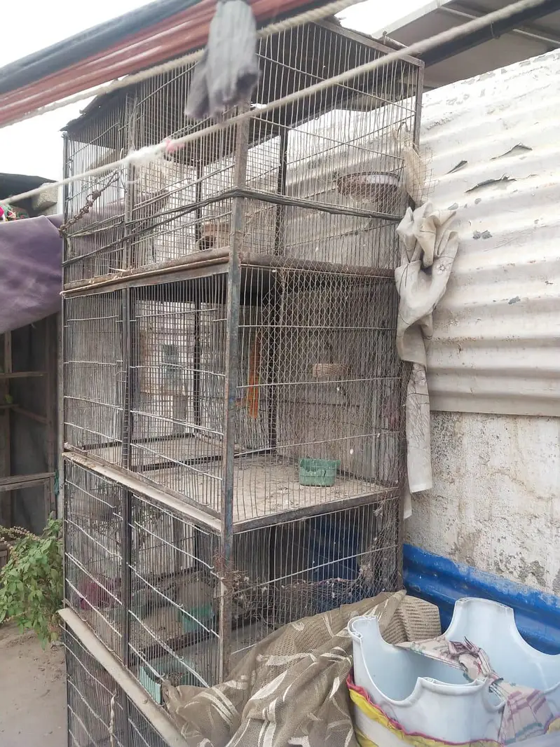 8 portions cage — photo 2