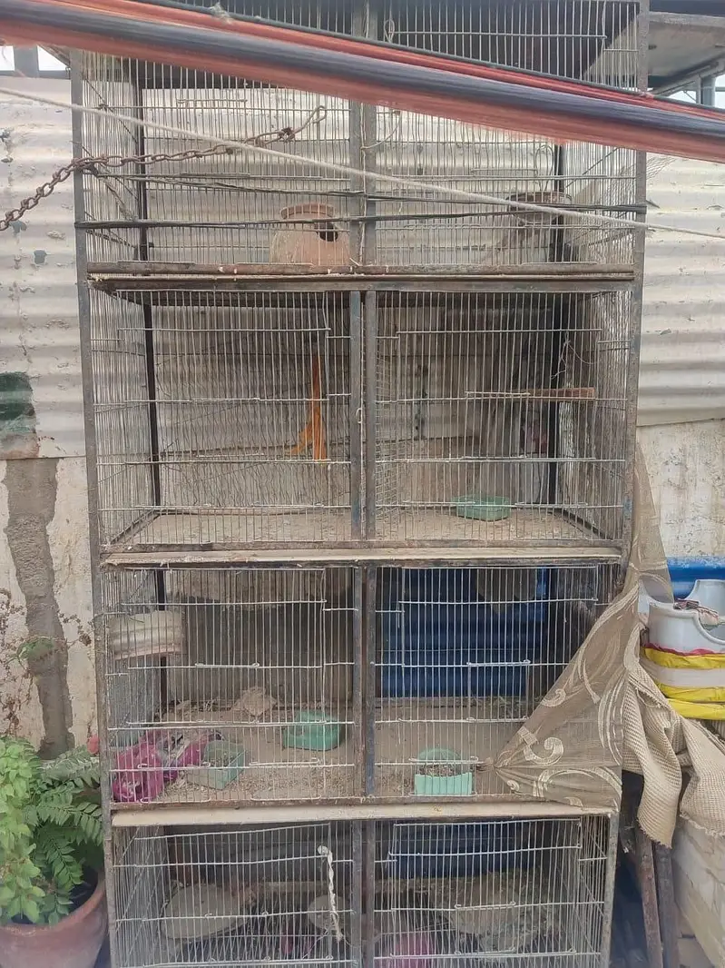 8 portions cage — photo 3