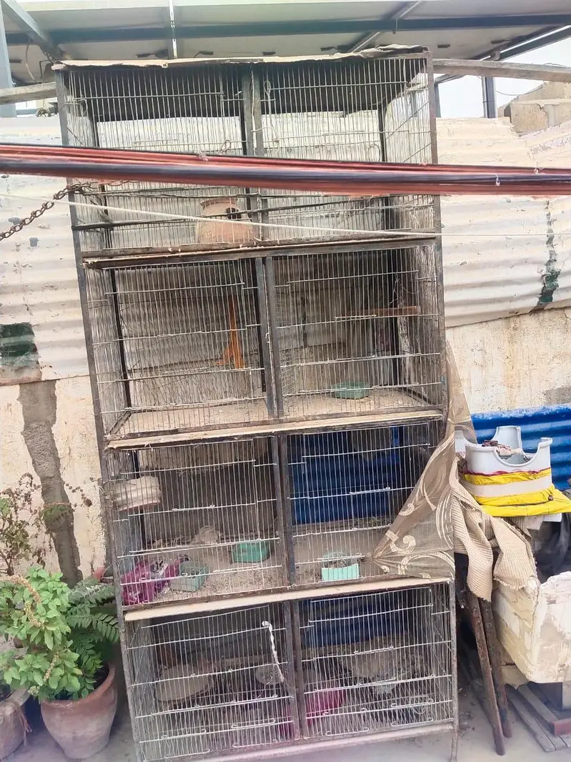 8 portions cage — photo 4