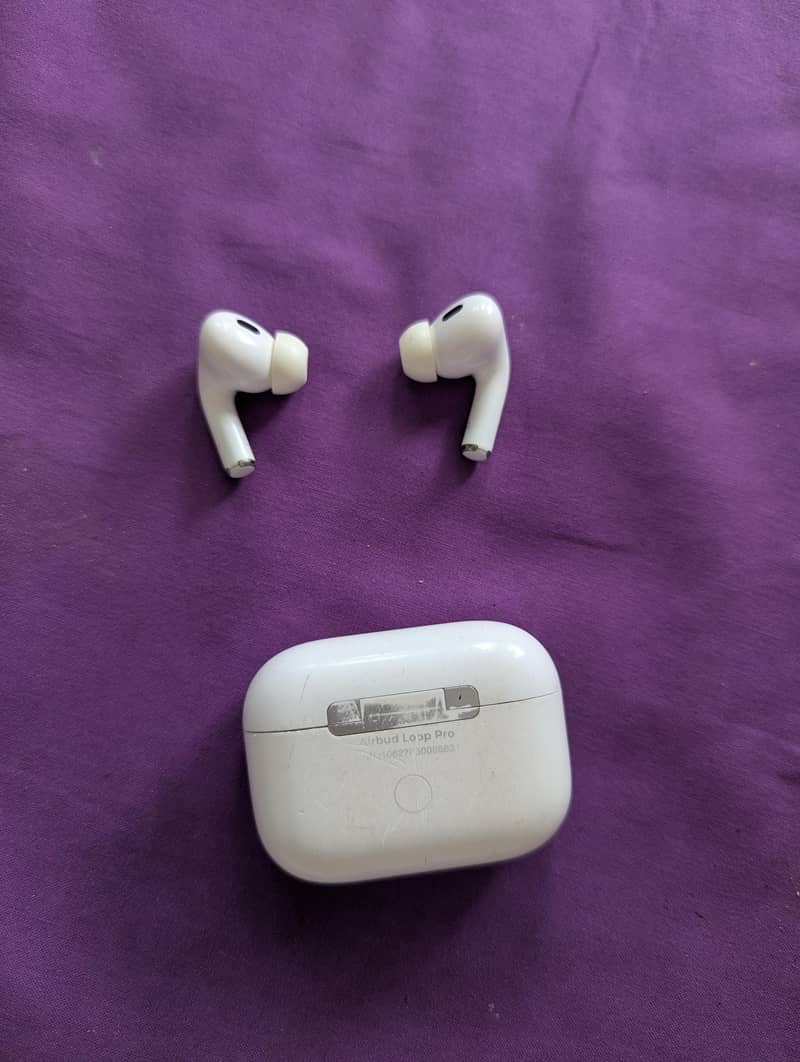audionic loop pro 5