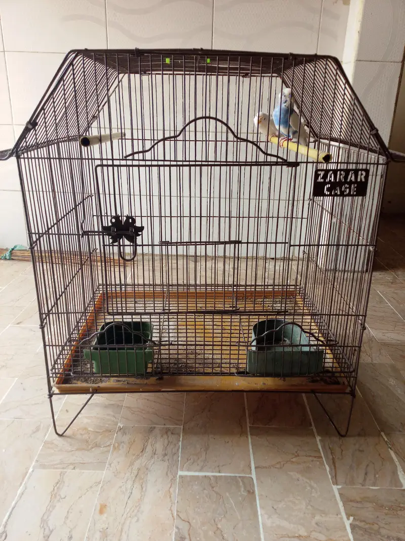buggie with cage — photo 7