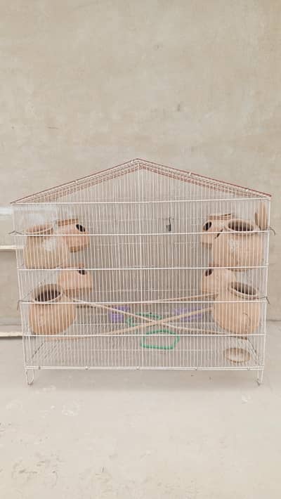 best cage for budgies parrots pigeons and cats very big and reliable