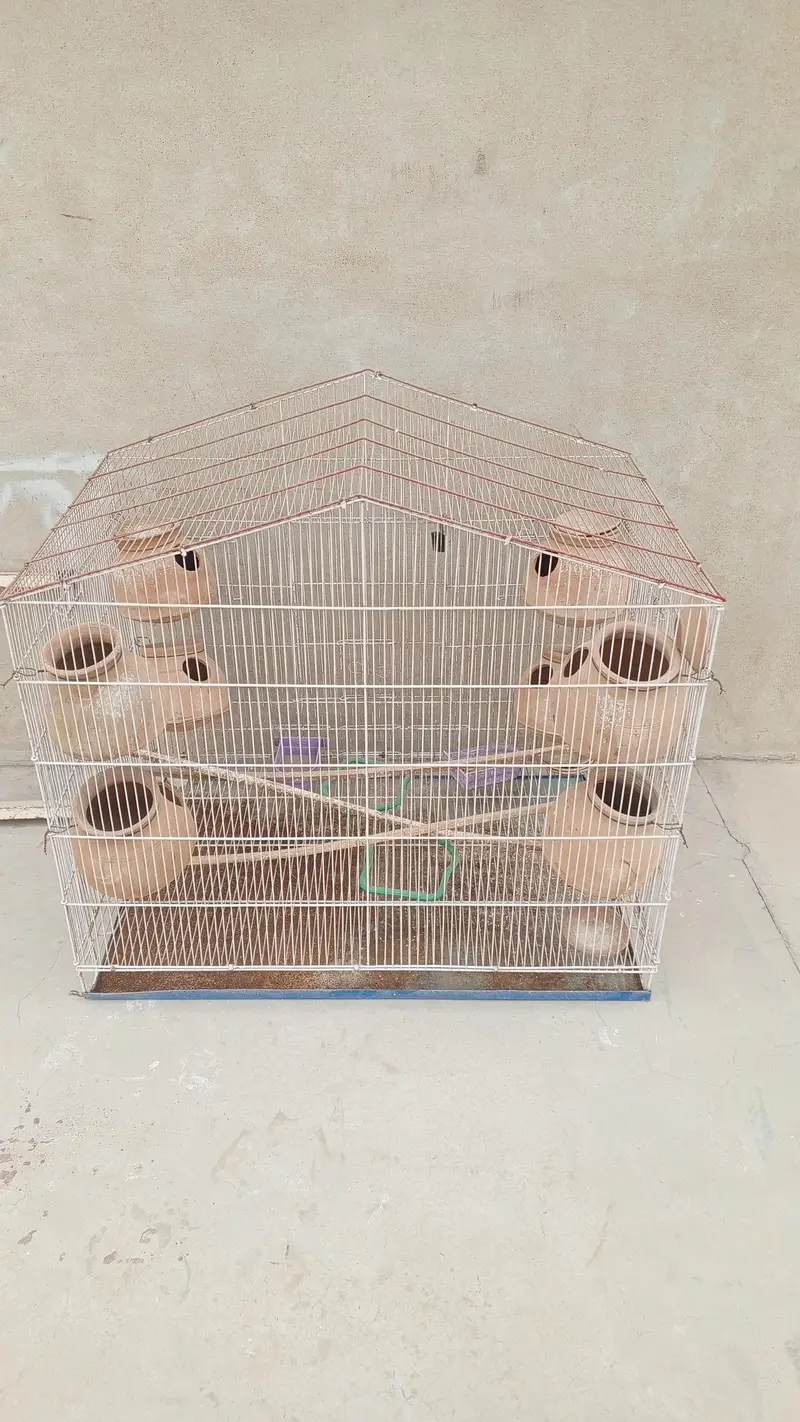 best cage for budgies parrots pigeons and cats very big and reliable — photo 2