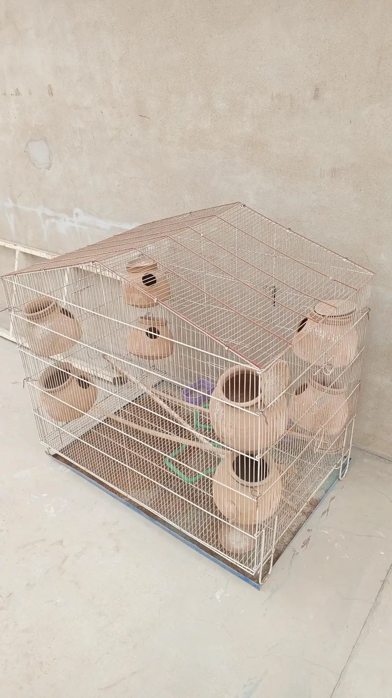 best cage for budgies parrots pigeons and cats very big and reliable — photo 3