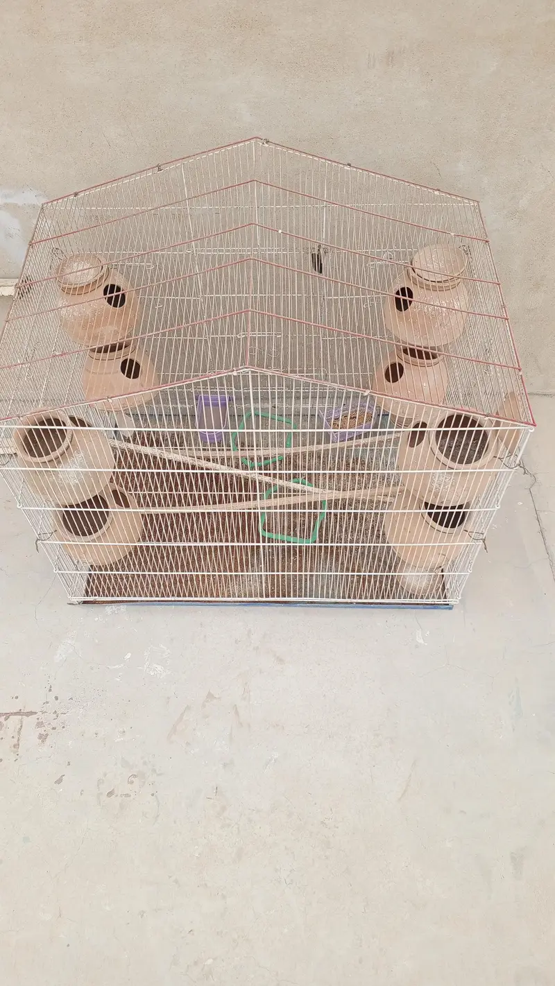best cage for budgies parrots pigeons and cats very big and reliable — photo 4