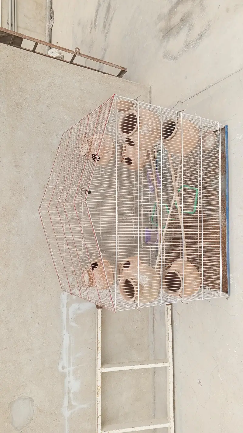 best cage for budgies parrots pigeons and cats very big and reliable — photo 5