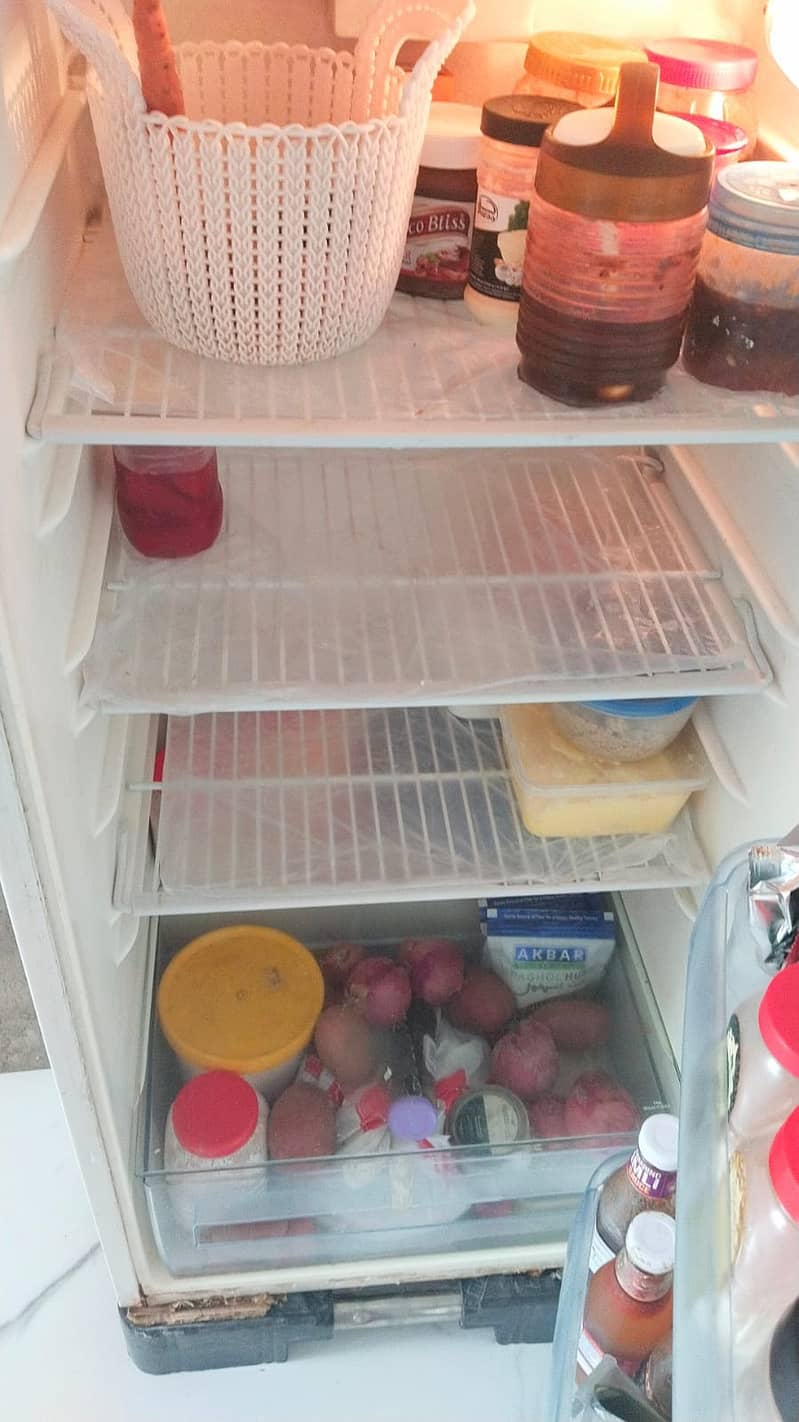 Electrolux fridge 1