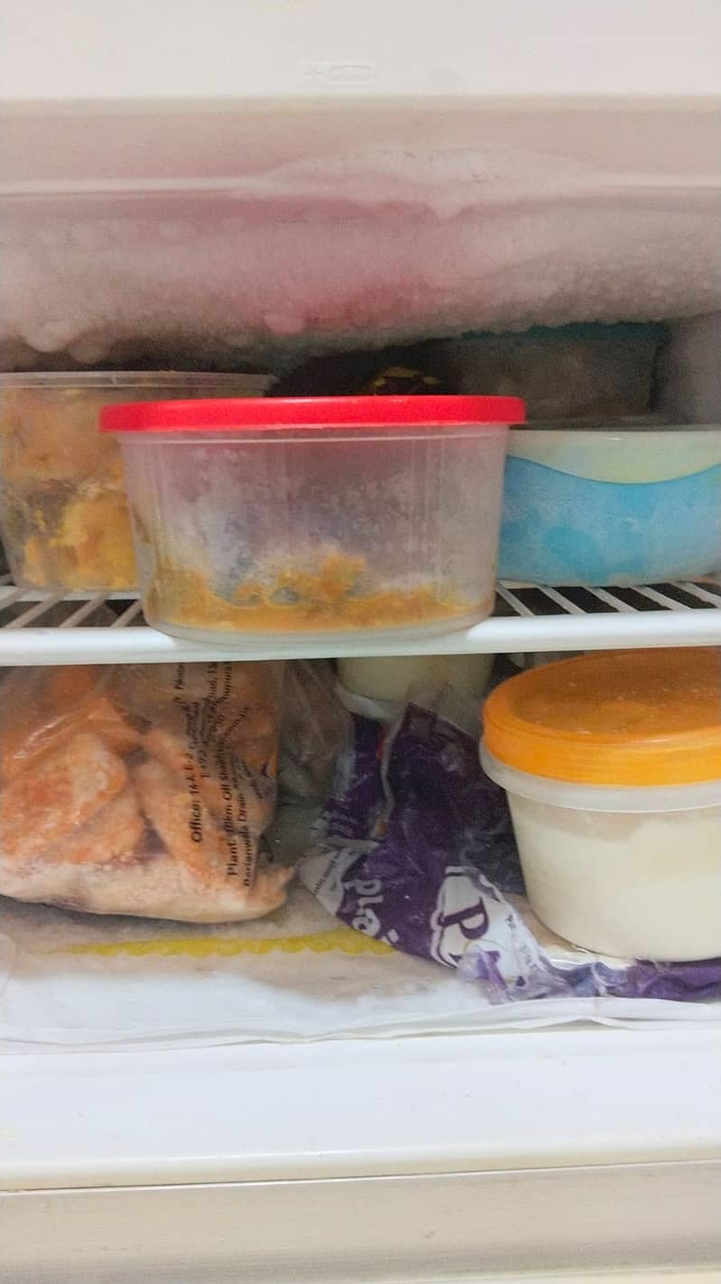 Electrolux fridge 3