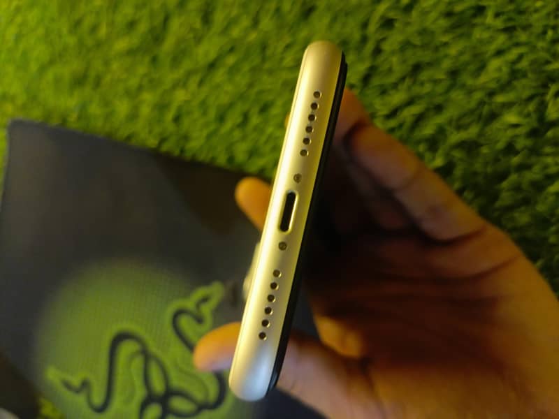 Apple iPhone 11 2