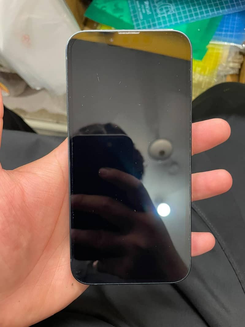 Apple iPhone 13 0