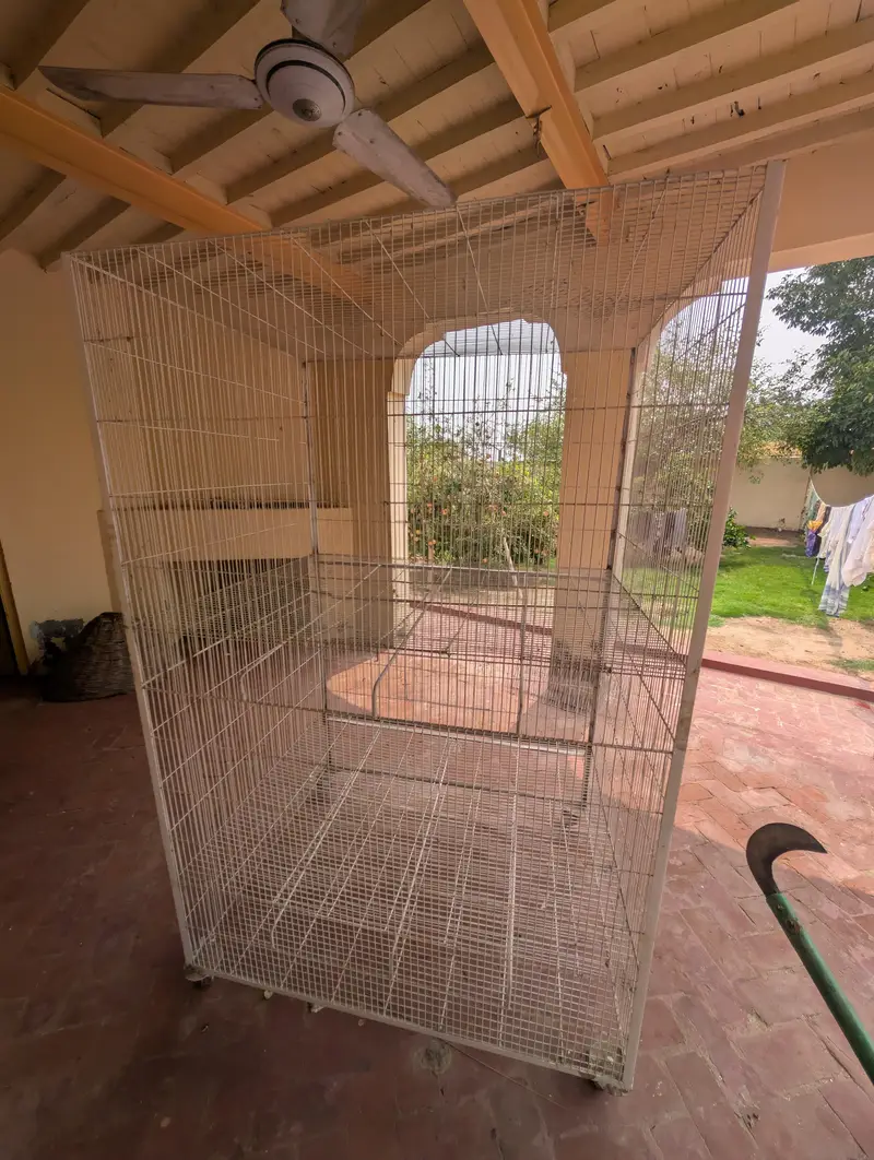 Australian Parrot Cage — photo 4