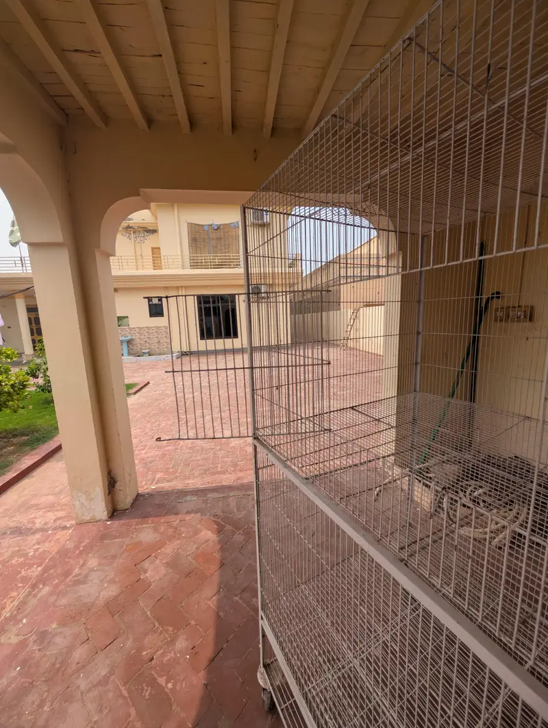 Australian Parrot Cage — photo 5